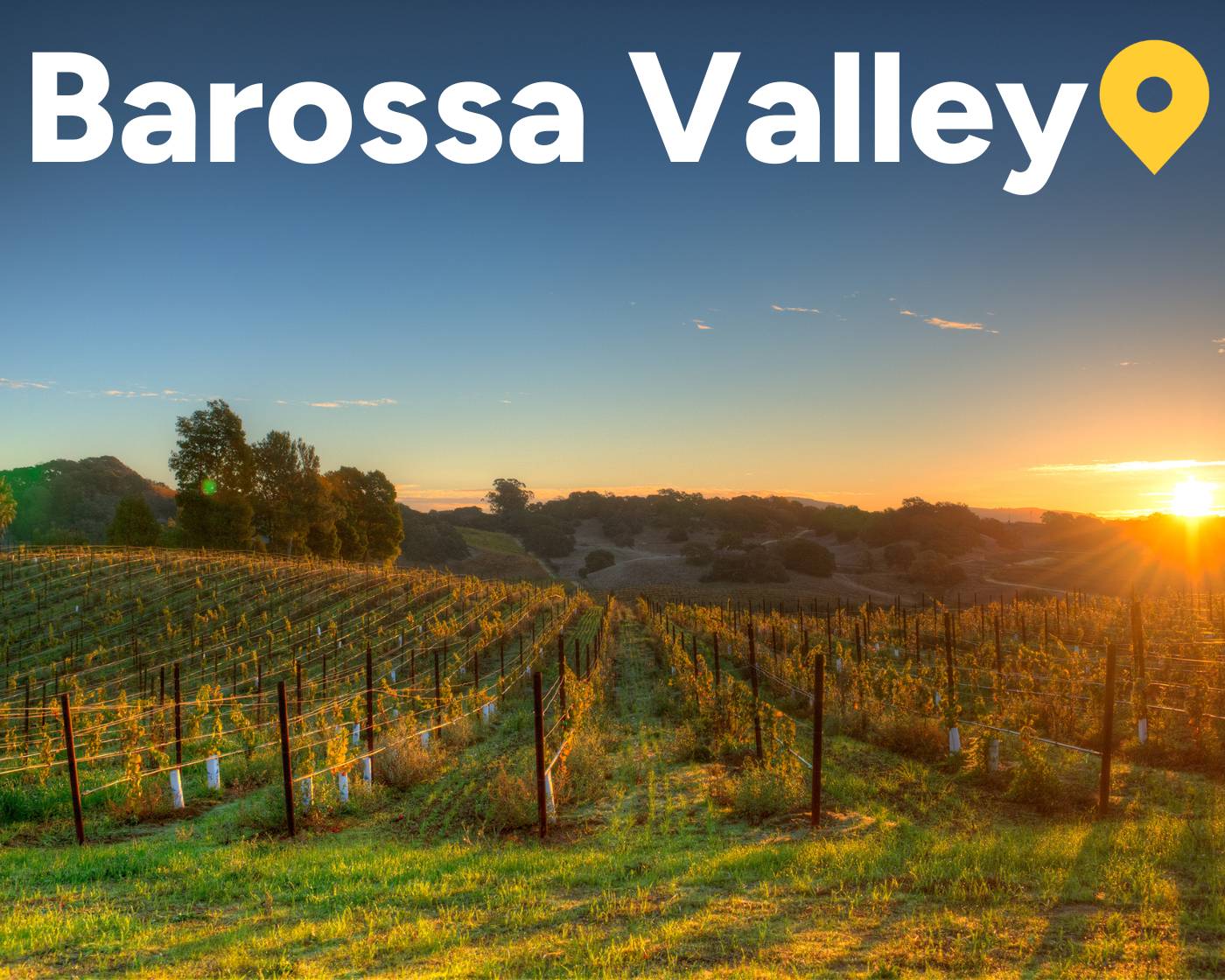 barossa valley