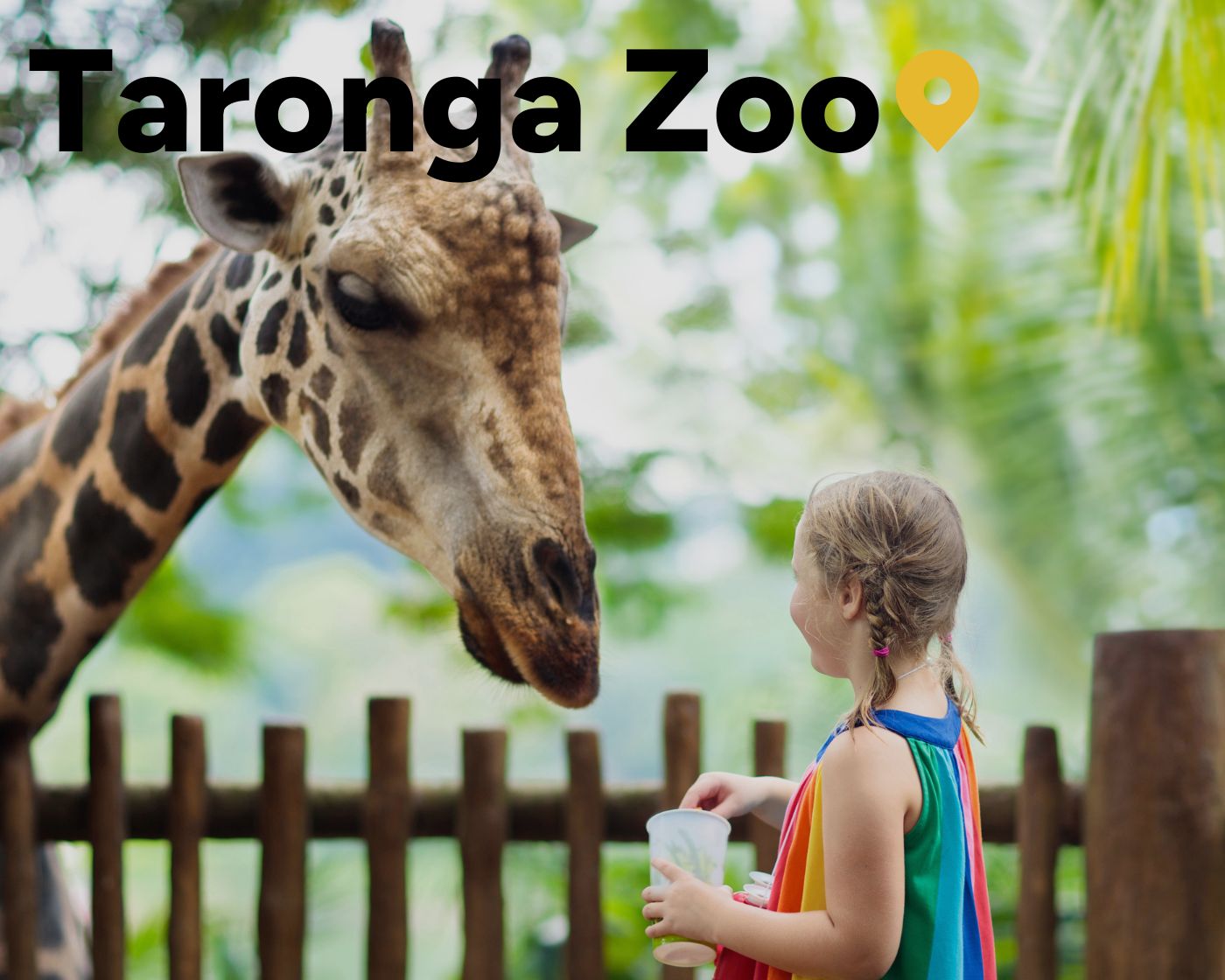 taronga zoo