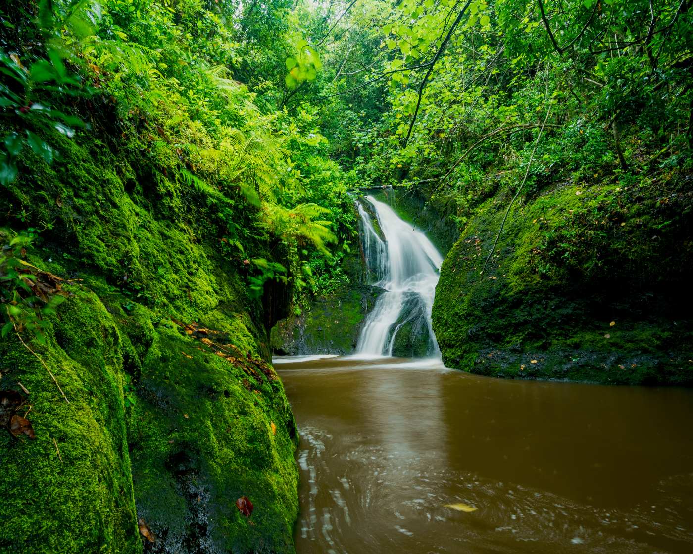 Rarotonga Wigmore’s Waterfall