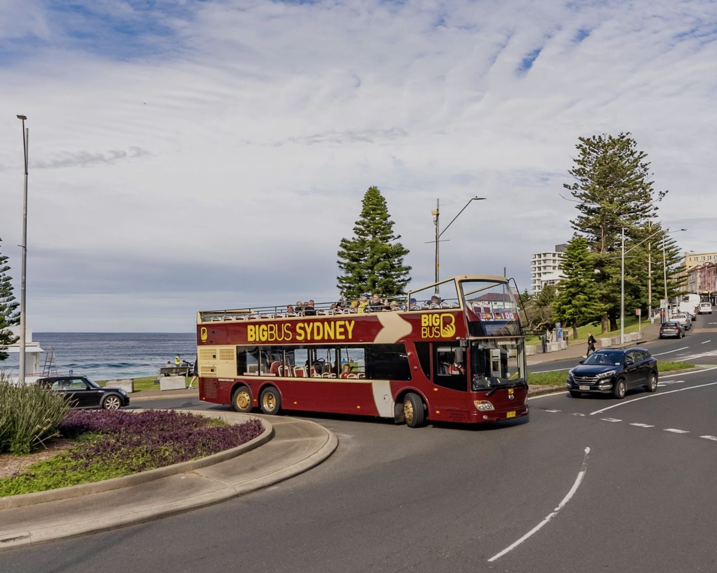 big bus sydney