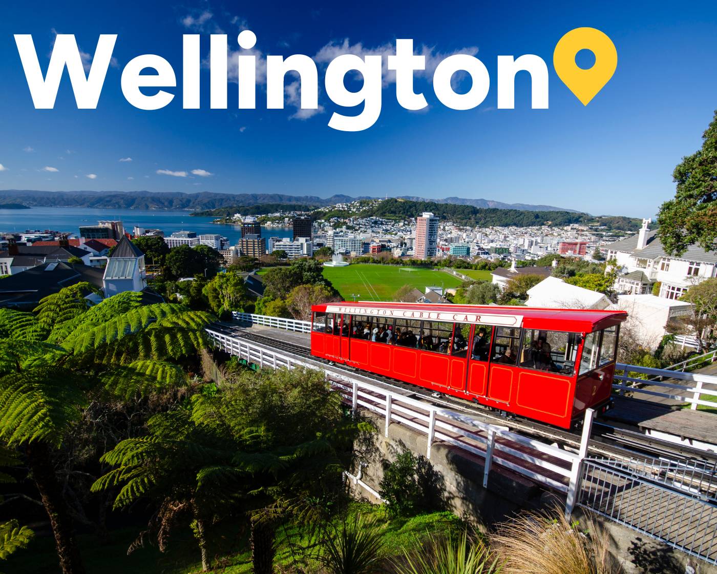 wellington