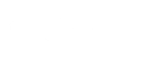 Feel New Sydney logo