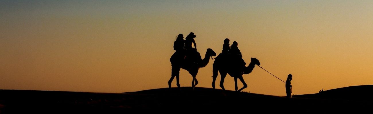 camels-africa