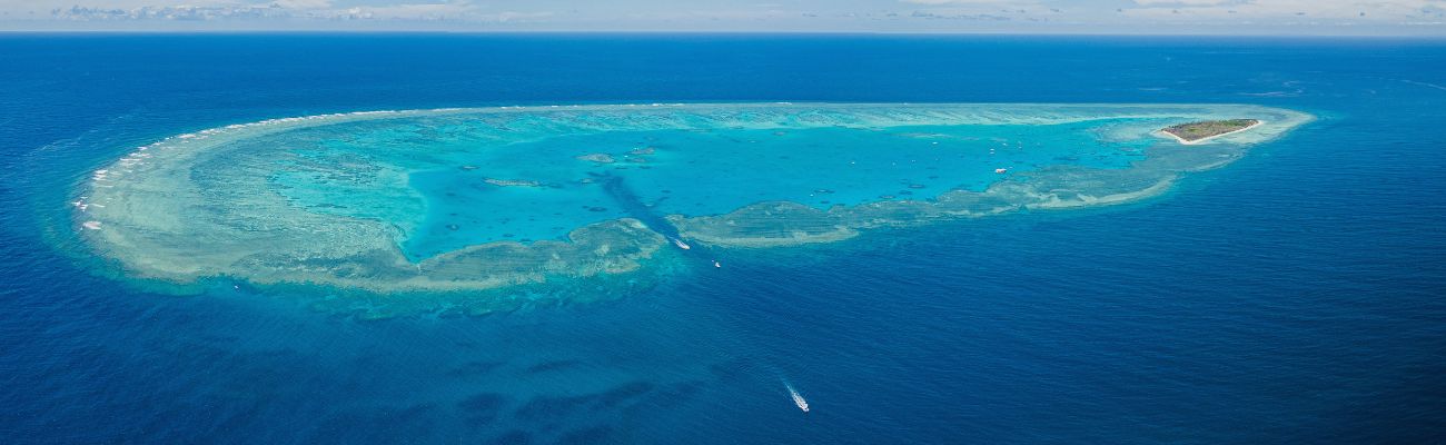 southern great barrier reef lady musgrave island