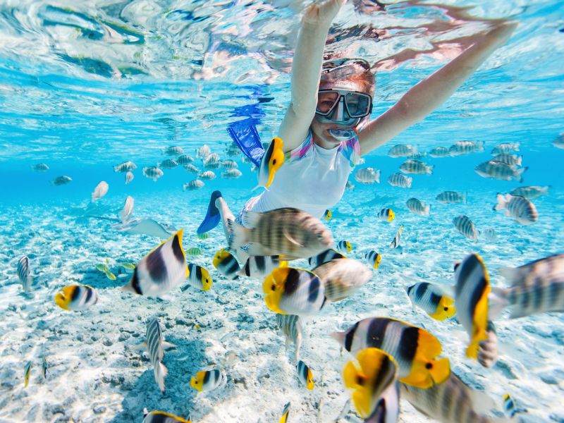 south-pacific-snorkeller