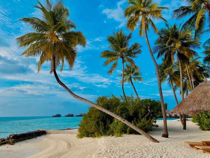tropical-beach