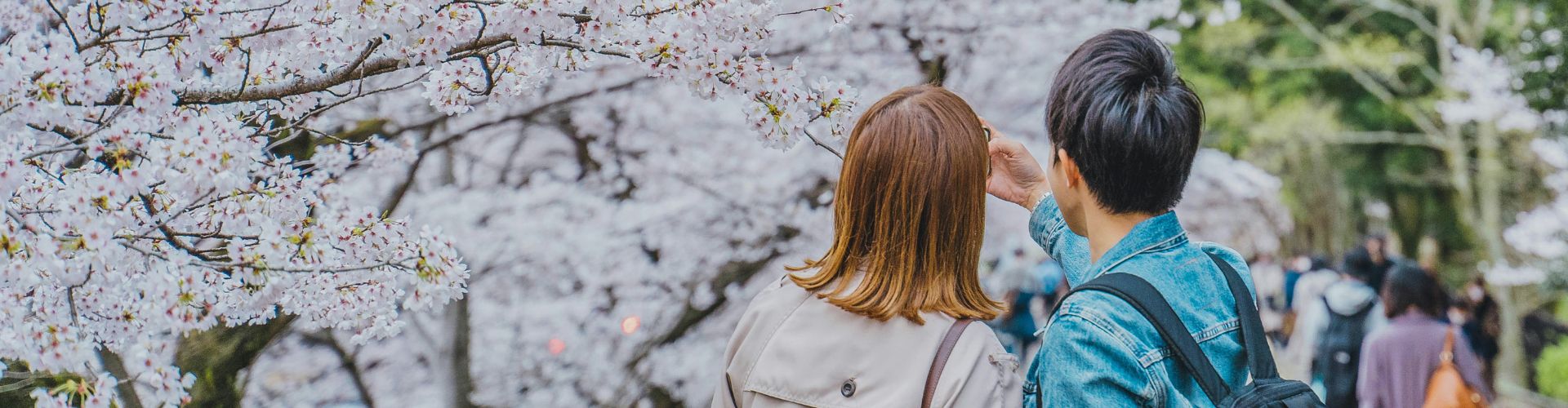 couple taking phot of cherry blossoms