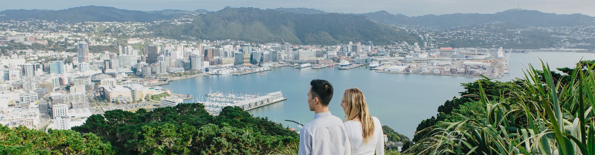 wellington couple overlooking wellington harbour