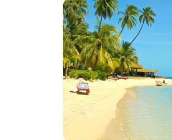 Fly Business class to Fiji