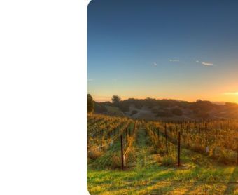 Qantas Adelaide Flight Deals