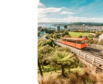 Wellington flight Deals