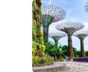 Malaysia Airlines Asia Flight Deals