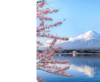 Tokyo Flight Sale