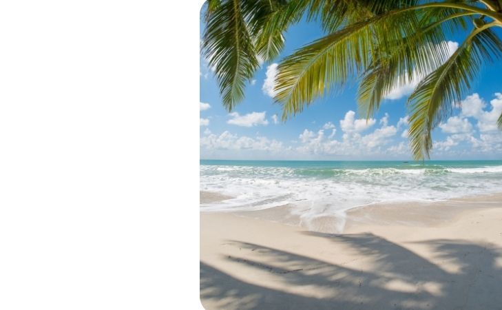 South Pacific Flight Deals