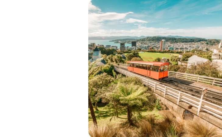 Wellington flight Deals